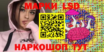 прущие грибы Краснодар
