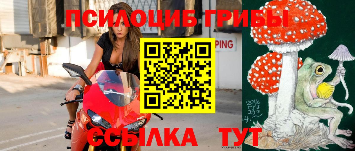 Ялуторовск  Псилоцибиновые грибы мицелий  Вход с VPN 